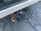 2022 GMC Sierra 2500 HD Crew Cab Long Box 4-Wheel Drive Denali