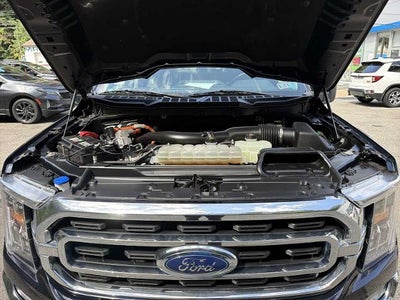 2021 Ford F-150 XLT 4WD SuperCrew 5.5' Box