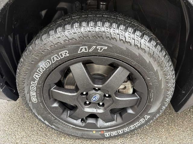 2025 Subaru Outback Wilderness AWD