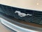 2024 Ford Mustang EcoBoost Convertible